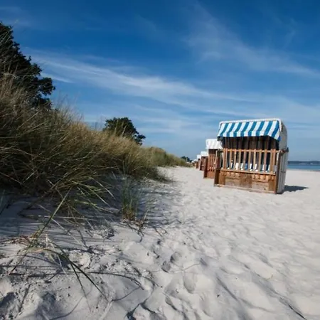 Strandhaus Moewenberg App.12 아파트 샬베우츠